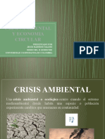 Crisis Ambiental y Economia Circular