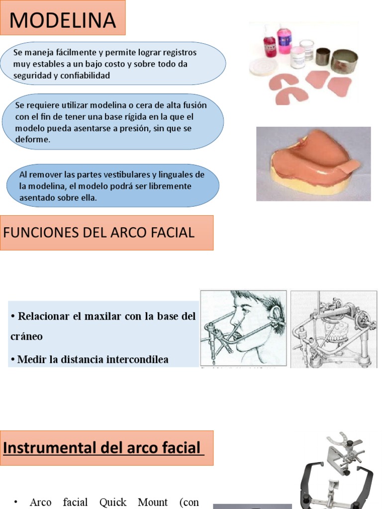 MODELINA | PDF | Tornillo | Naturaleza