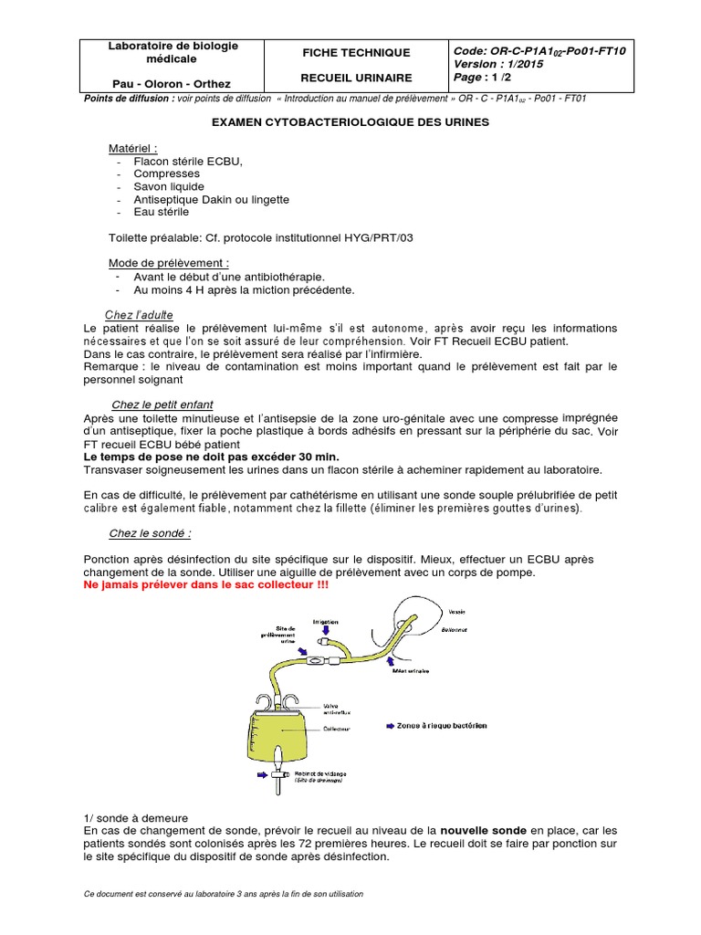 Prelevement Urinere 2 Pdf Urologie Medecine
