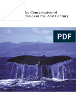 conservation-whales-c21