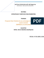 Proyecto finaL-Diseño de Una Estrategia de Marketing para Un Nuevo Servicio PDF