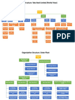 Organization Structure: Tata Steel Limited (Partial View)