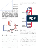 CLASE 4 Hemodinámica