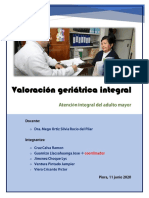 Valoracion Geriatrica Integral