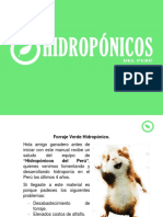 Guia Forraje Verde Hidroponico Hidroponicos Del Peru PDF