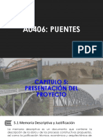 Presentación de Proyecto de Puentes