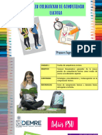 Nueva Ptu PDF