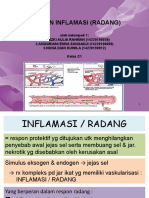 13konsep Inflamasi PPTX