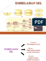 Pembelahan Sel