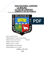 Tarea N°1 PDF