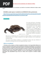 Descubrimos Cómo Son Los Ecosistemas y Las Relaciones Tróficas