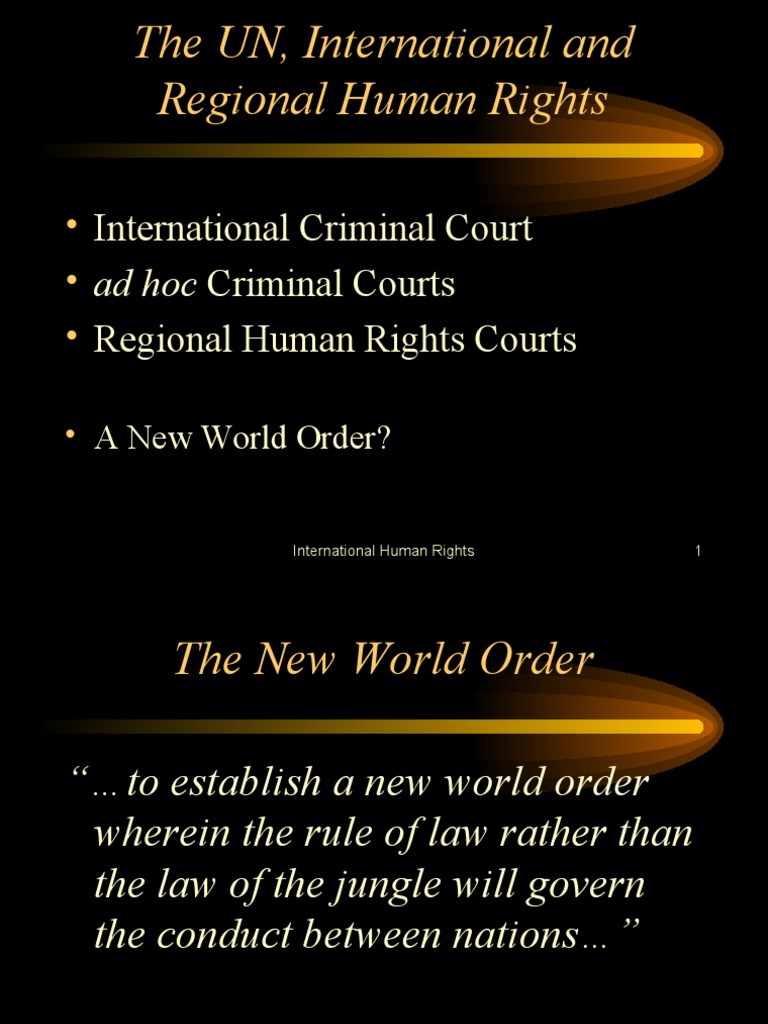 International Human Rights and Law | PDF | Crimes Against Humanity ...