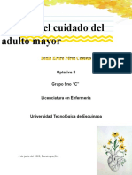 Teorías Relacionadas Con El Adulto Mayor