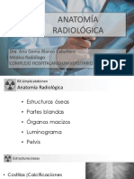 Radiografiasimpledeabdomen-1494414663698.pdf