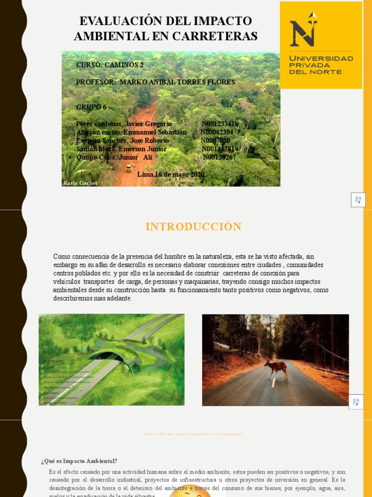 Evaluación del Impacto Ambiental en Carreteras | PDF | Evaluación de ...
