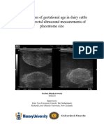 Determination of Gestational Age in Dairy Cattle Using Transrectal Ultrasound Measurements of Placentome Size