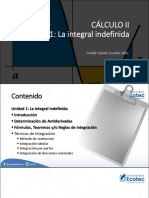 Integrales-Calculo II