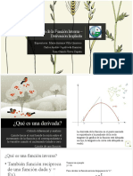 Derivada de La Función Inversa - Derivación Implícita