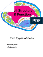 cell parts