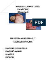 Selaput Embrio
