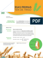 0916 Nutrinews Materias Primas Gluten Trigo PDF