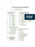 Sistem Pernapasan