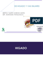 HIGADO Y VIA BILIAR.pdf