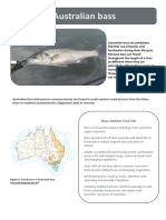 Australian Bass Habitat Factsheet