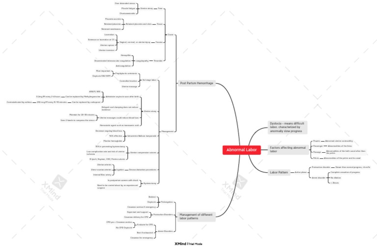 Obstetric Challenges & Management | PDF | Childbirth | Motherhood
