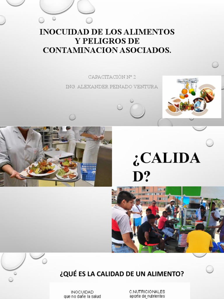 Inocuidad y Peligros en Alimentos | PDF | Seguridad alimenticia | Alimentos