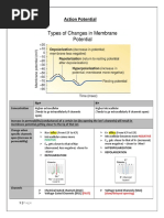 Action Potential Flowchart Explained | PDF | Action Potential ...
