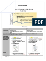 Action Potential: Concentration