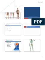 ACT - 02 - Organismo Humano