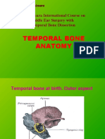 Temporal Bone Anatomy: 2 Timisoara International Course On Middle Ear Surgery With Temporal Bone Dissection