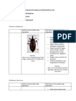 FinishXIV - new1PRAKTIKUM ENTOMOLOGI PERTEMUAN XIV DIII