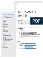 Umair CV PDF