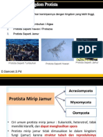 PROTISTA Part III