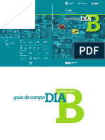 guiacampodiab.pdf