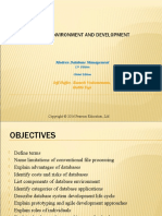 The Database Environment and Development Process