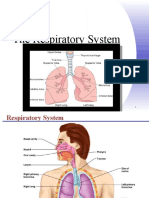 Anatomy of Respiratory System+histo of Alveoli (Changes) PDF
