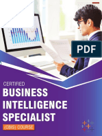 Business Intelligence Specialist (5448) PDF