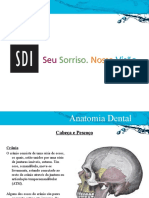 Anatomia Dente - SDI 2014
