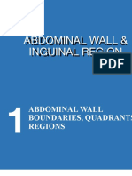 ABDOMINAL WALL ANATOMY