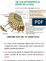 Paso de Fertilidad y Nutricion de Suelos