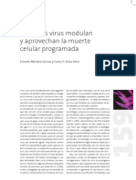 Como Los Virus Modulan y Aprovechan La Muerte Celular