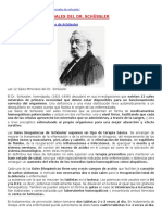 Curso_SALES_Dr_SCHUSSLER.pdf