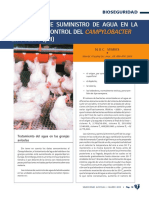 5196 El Sistema de Suministro de Agua en La Infeccion y Control Del Campylobacter en Pollos y II