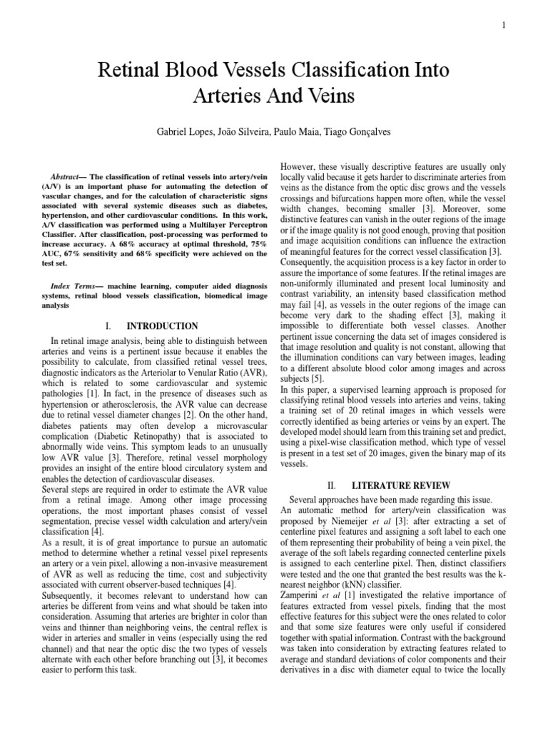 Retinal Blood Vessels Classification Into Arteries and Veins | PDF ...