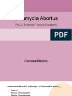 CLAMYDIA ABORTUS