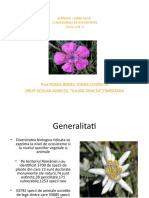 conservarea_biodiversitatii.pptx